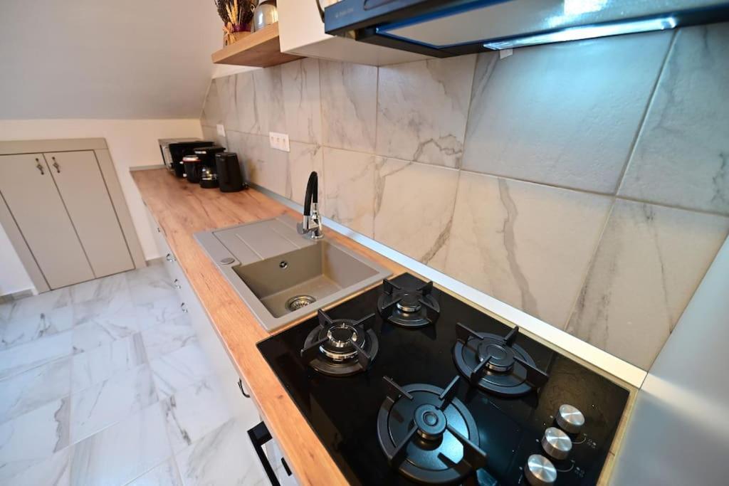 Apartment Flh - Neppendorf Loft Sibiu